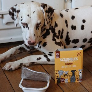 Scrumbles Chicken Wet Dog Food Trays - 395g